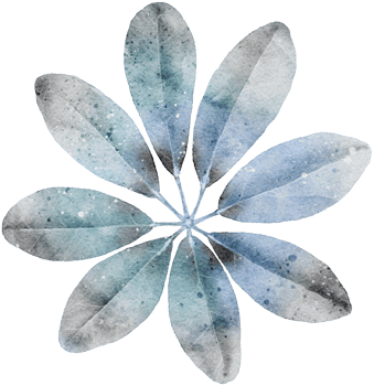 Leaf watercolor transparency. png