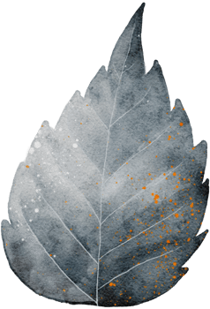 Leaf watercolor transparency. png