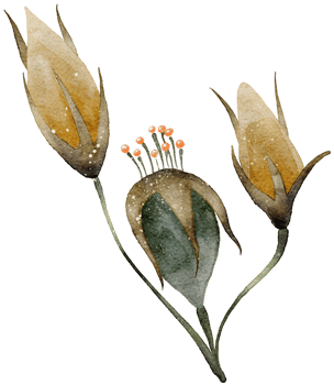 Flower watercolor transparency. png