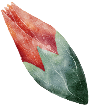 Flower watercolor transparent. png