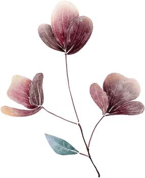 Flower watercolor transparent. png