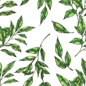 Leaf watercolor seamless pattern png