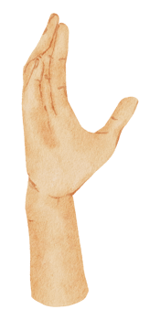 Watercolor hands gesture png