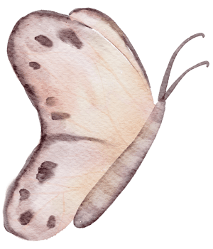 Butterfly watercolor hand paint png