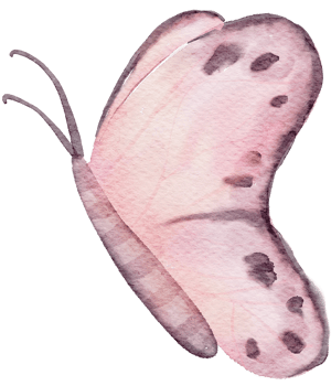 Butterfly watercolor hand paint png