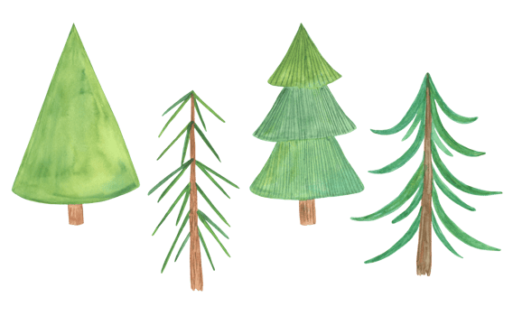 Simple watercolor green Christmas tree set in simple cute cartoon style, decorative evergreen forest tree collection, winter holiday elements useful for end of the year celebrations design png