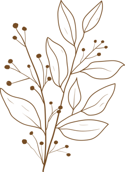 Doodle leaf drawing transparency for decoration. png