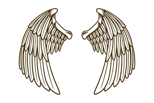 eagle wing vector illustration