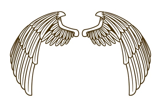 eagle wing vector illustration