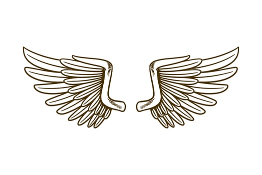 eagle wing vector illustration