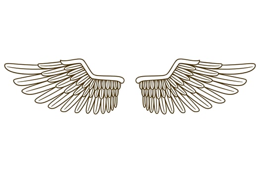 eagle wing vector illustration