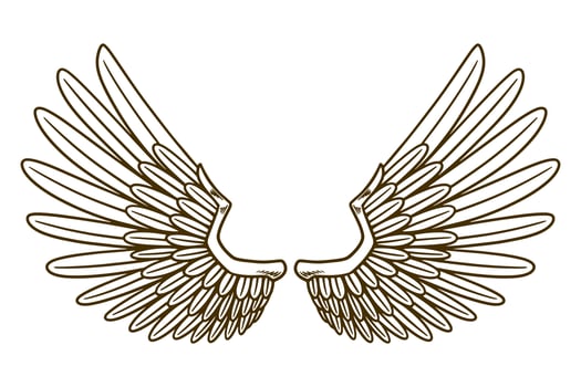 eagle wing vector illustration
