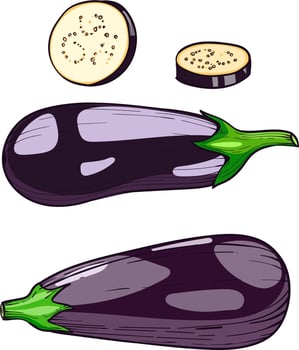 eggplant vegetable, vector hand drawn illustration Hand drawn sketch