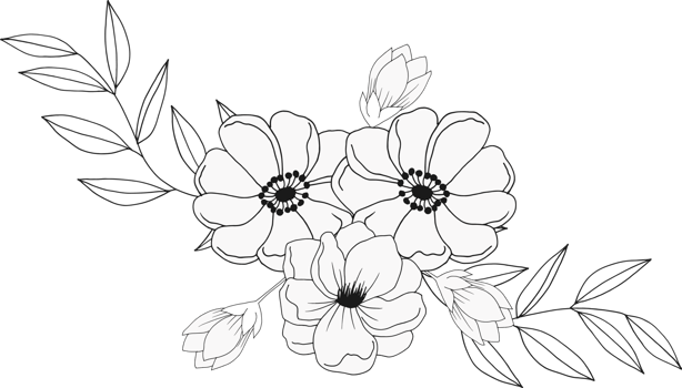 hand draw sketch flower and leaf png
