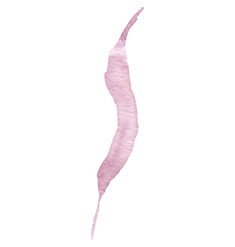 Leaf watercolor hand paint png