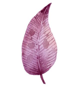 Leaf foliage watercolor png