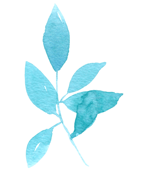 Leaf watercolor hand paint png