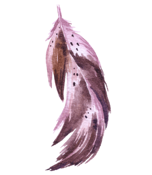 Feather watercolor hand paint png