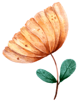 Autumn Plant watercolor element png