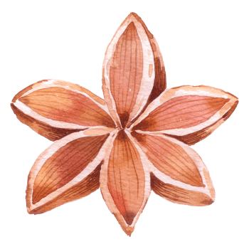 Autumn Plant watercolor element png