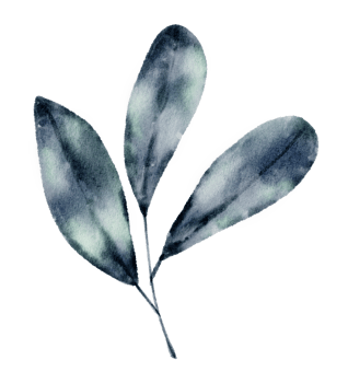 Green Leaf Element watercolor png