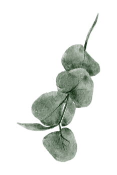 Green Leaf Element watercolor png