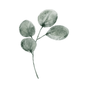 Green Leaf Element watercolor png