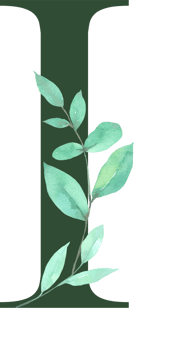 Watercolor Green Leaf with Alphabet png