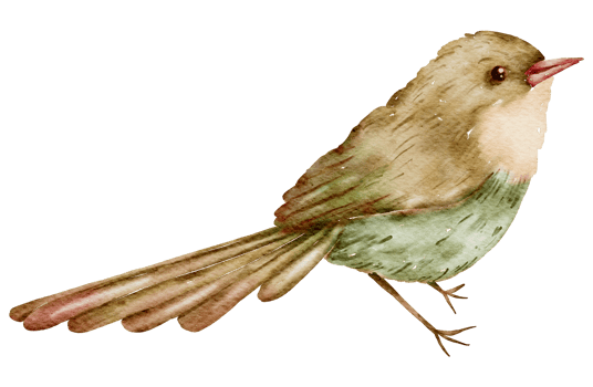 Bird watercolor hand paint png