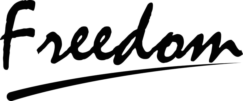 Freedom Lettering on white background. Freedom Script Calligraphic. vector