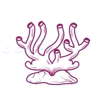 coral underwater life vector