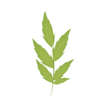 nature leaves decoration vector