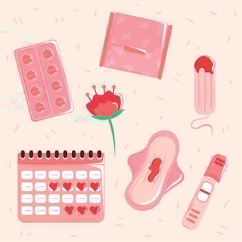 menstruation cycle icons vector