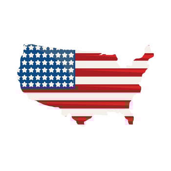 USA map with flag vector