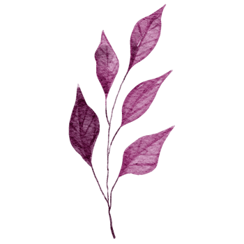 Purple hand drawn tropical leaf illustration png