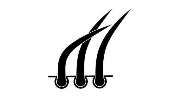 hair icon isolated on white background vector