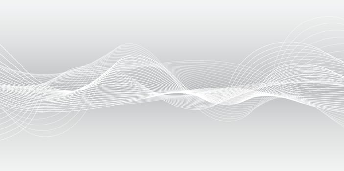Abstract white wavy with blurred light curved line background.white vector