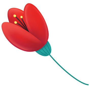 Simple tulip with red petals. png