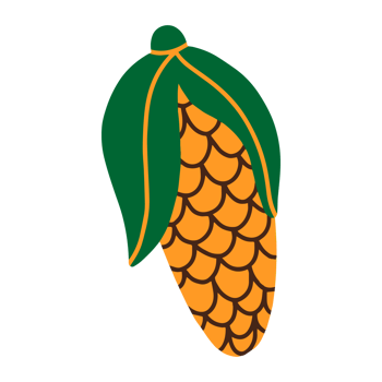 Ripe corn cartoon illustration png