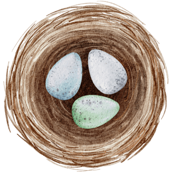 Easter eggs in the nest watercolor png