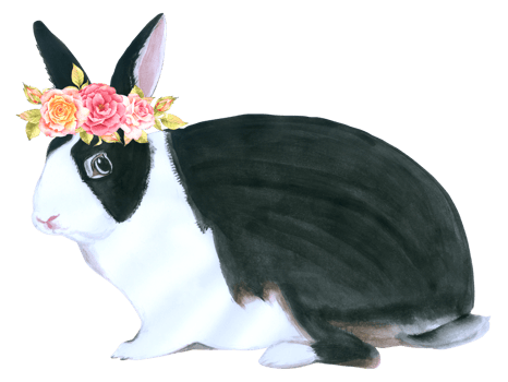 Rabbit Easter animal with flower watercolor png