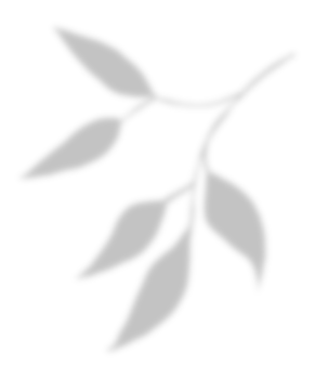 Leaf shadow for decorative png