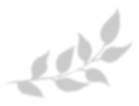 Leaf shadow for decorative png