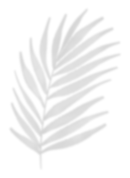 Leaf shadow for decorative png