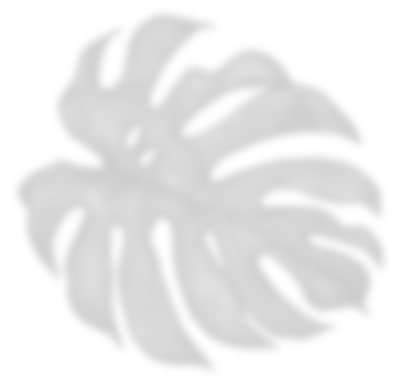 Leaf shadow for decorative png