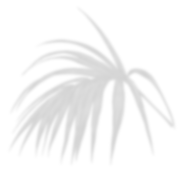 Leaf shadow for decorative png