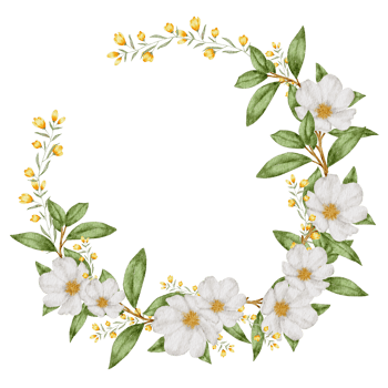 Flower wreath and frame watercolor png