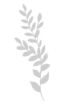Leaf shadow for decorative png