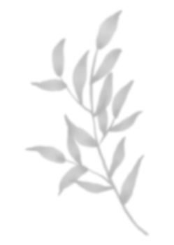 Leaf shadow for decorative png