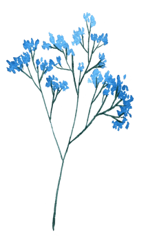 Wildflower watercolor, Beautiful flower watercolor element png